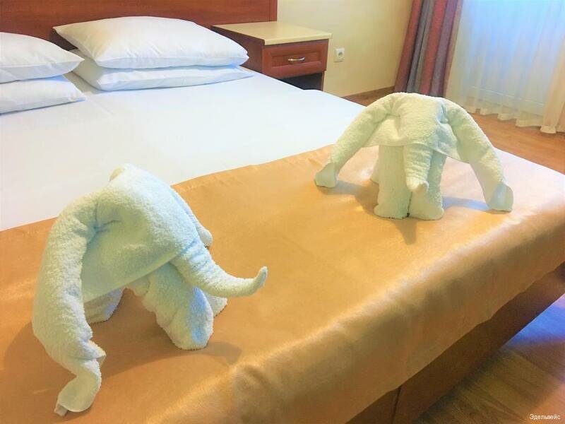 Гостиница Эдельвейс Анапа-16