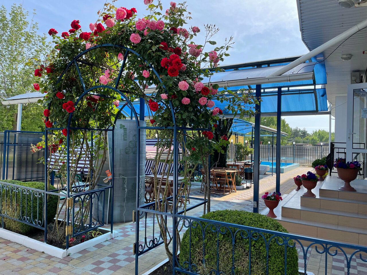 Гостиница Эдельвейс Анапа-8