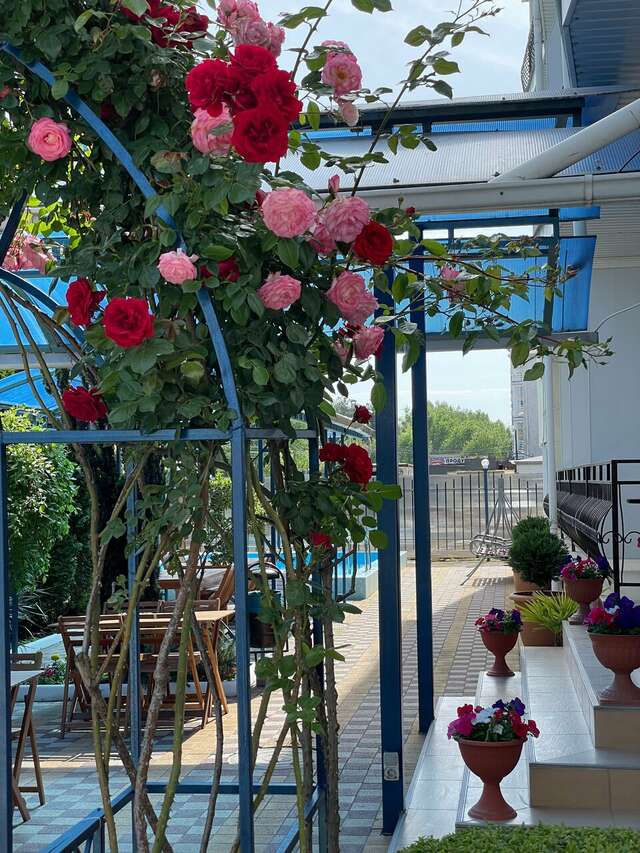 Гостиница Эдельвейс Анапа-71