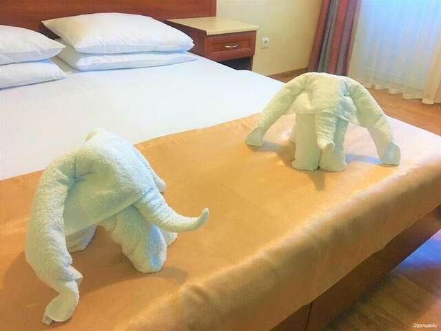 Гостиница Эдельвейс Анапа-15